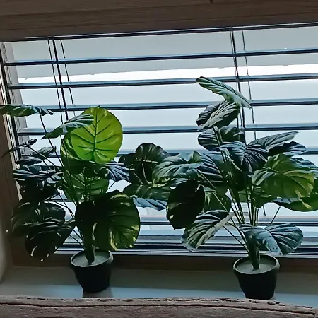 Rb 3 Lux Smart House Apartamento Subotica