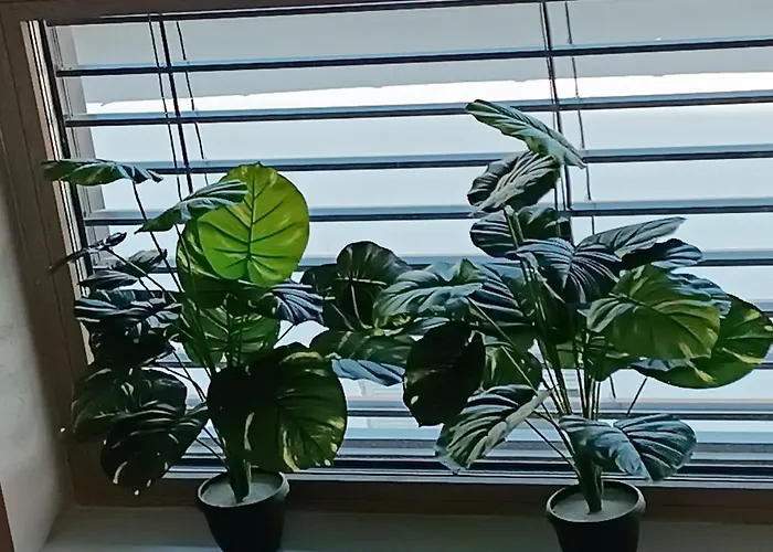 Rb 3 Lux Smart House Apartament Subotica